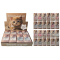 12PCS Paper Box Cat Eye Nail Tips 2